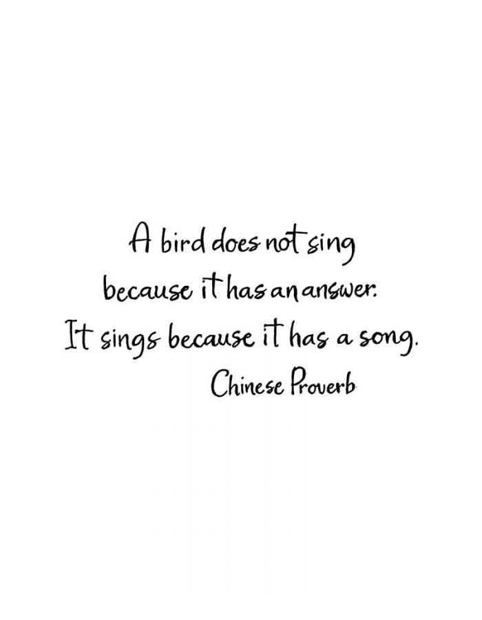 A Bird Does Not Sing - D11086