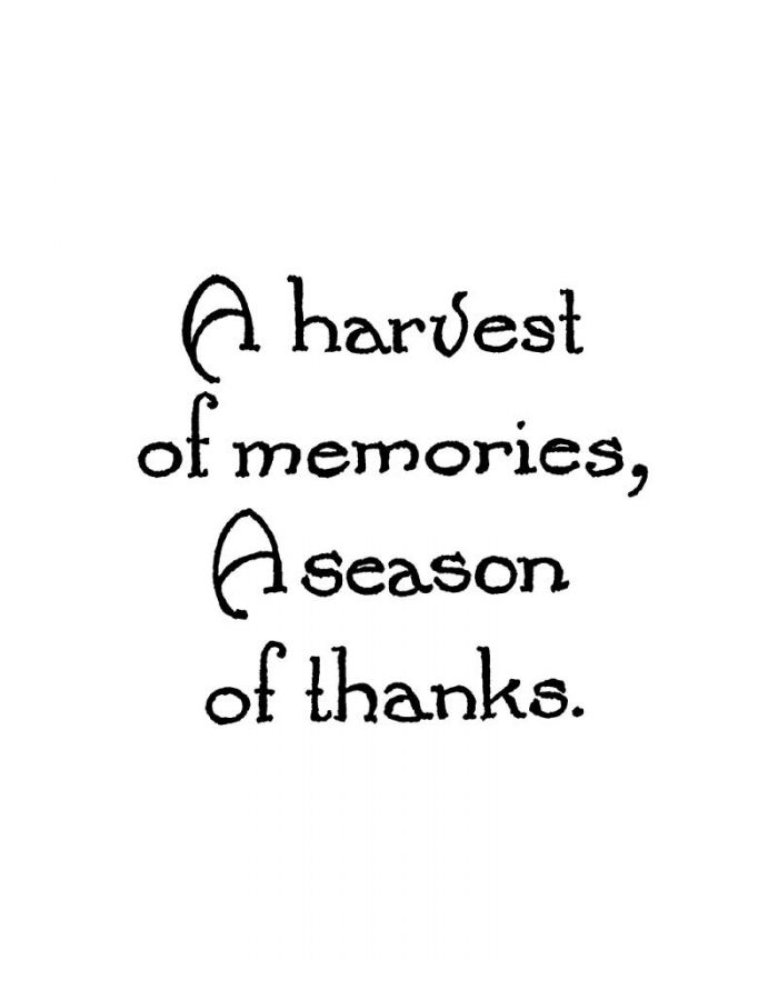 A Harvest of Memories - C10667
