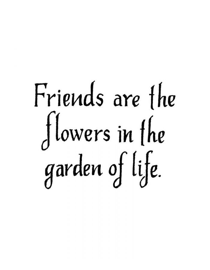 Friends Are The Flowers - C9499