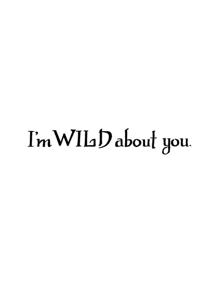 I'm Wild About You - DD9533