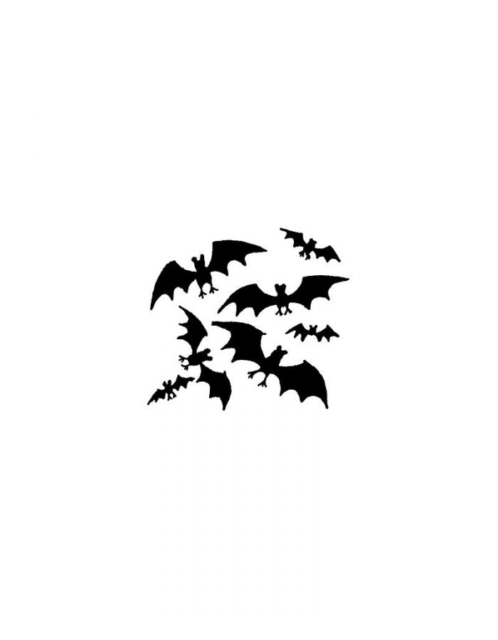 Bats - B10477