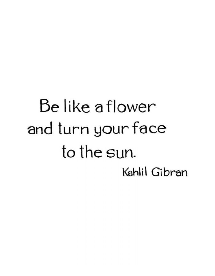 Be Like A Flower - D11328