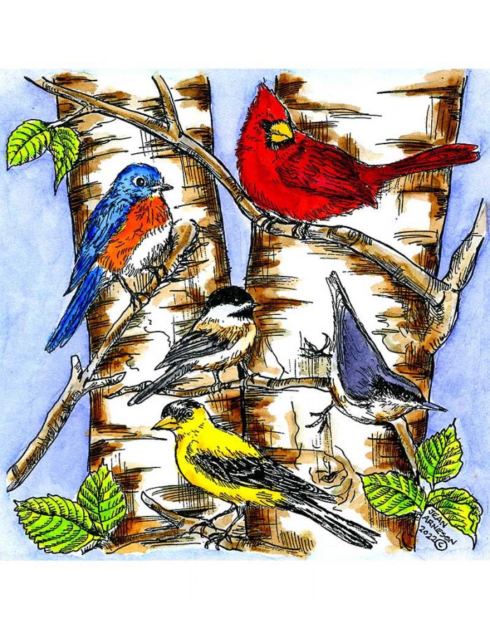 Birch Tree and Spring Birds - PP11085