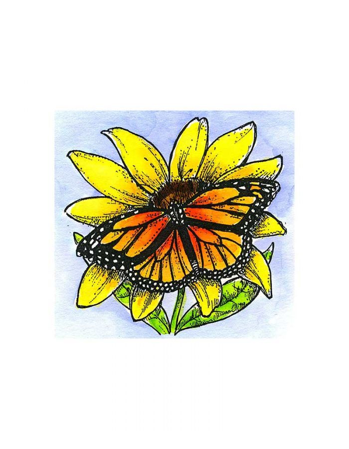 Black Eyed Susan and Monarch - CC11108