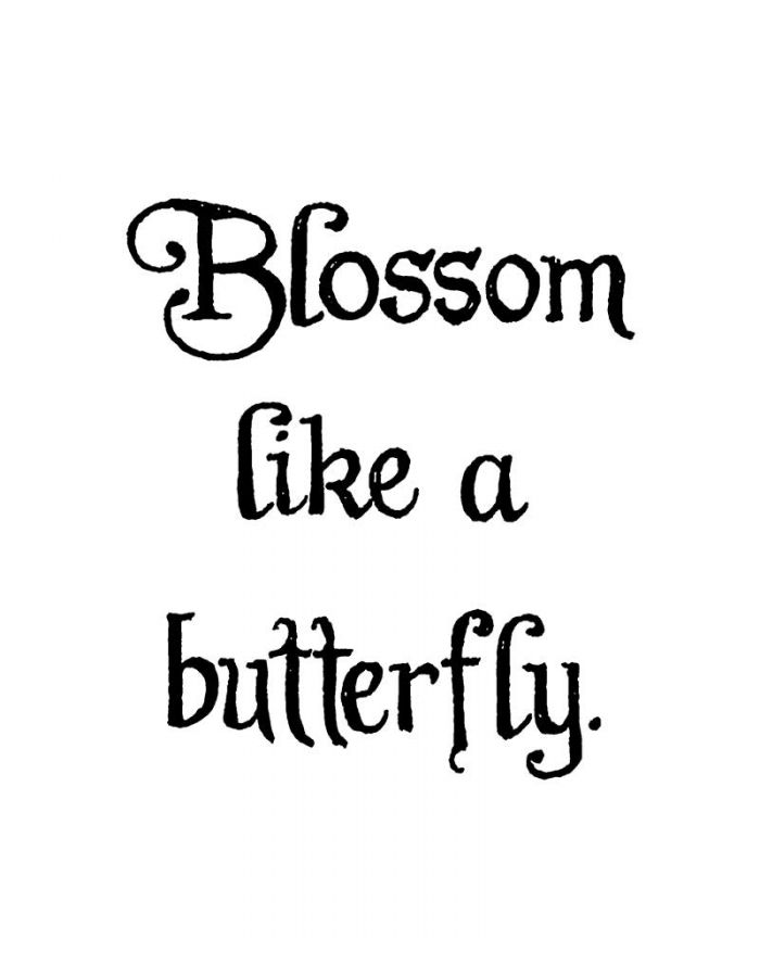 Blossom Like A Butterfly - CC11103