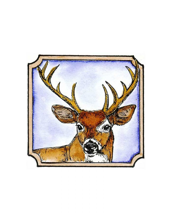 Buck In Notched Frame - CC8533