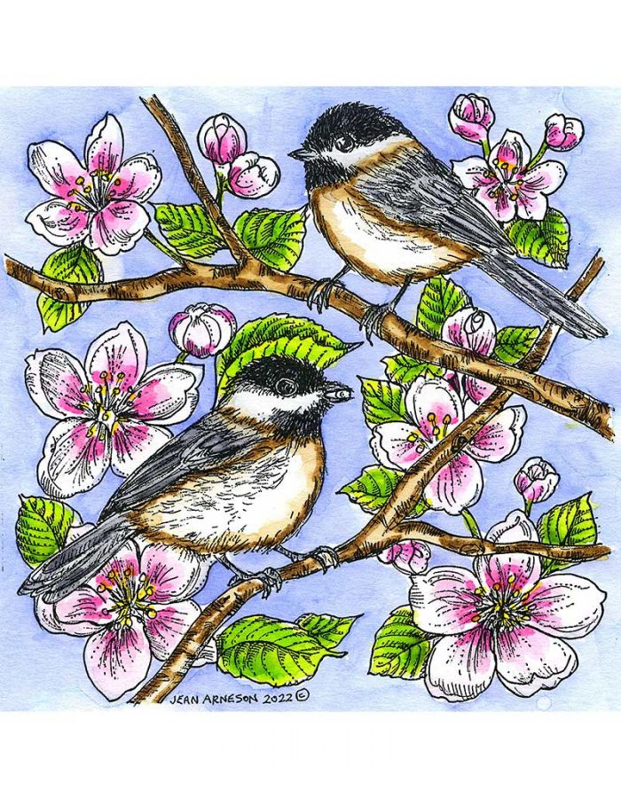 Chickadee Pair and Blossoms - PP11079
