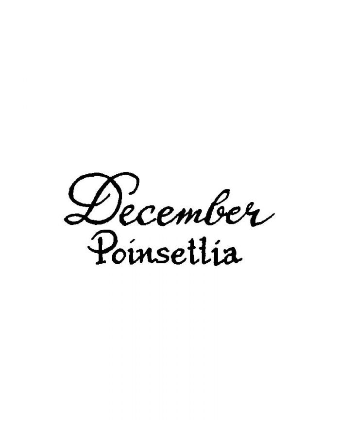 December Poinsettia - BB11283