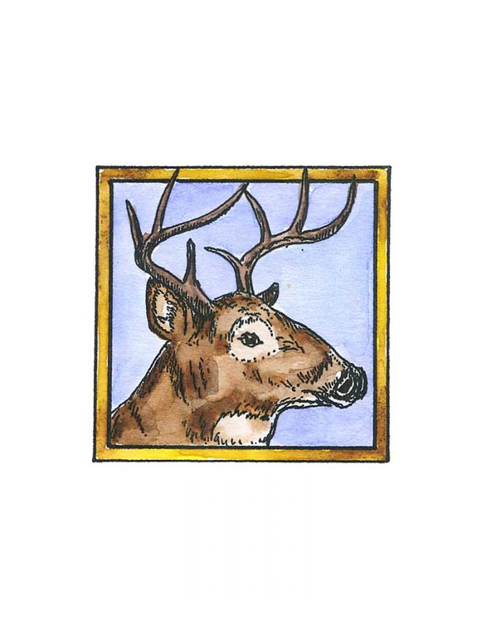Deer Head - C10627