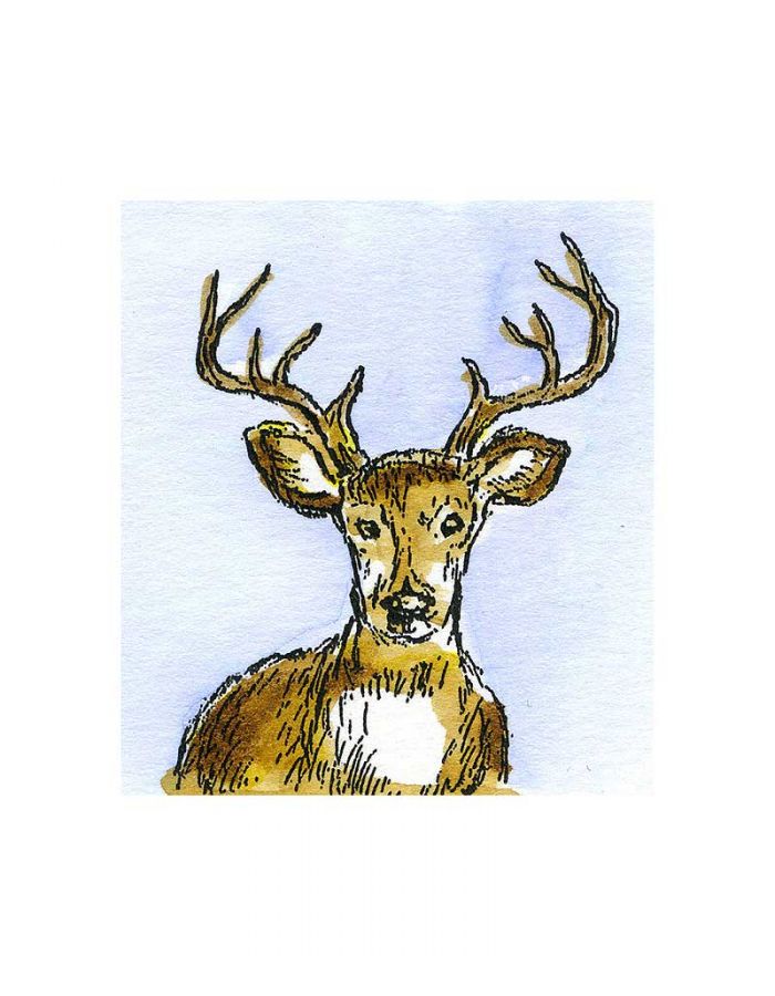 Deer Head - C10857