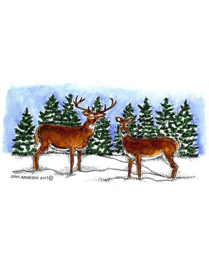 Deer Pair and Pines - O10343