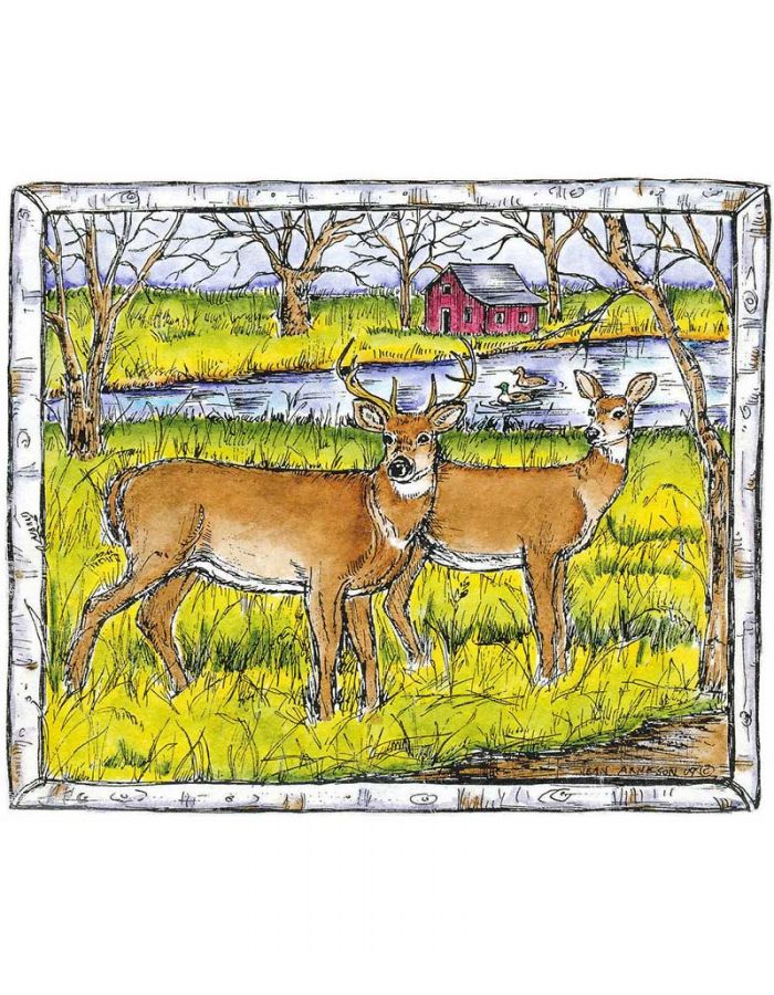 Deer Pair in Birch Frame - P6873