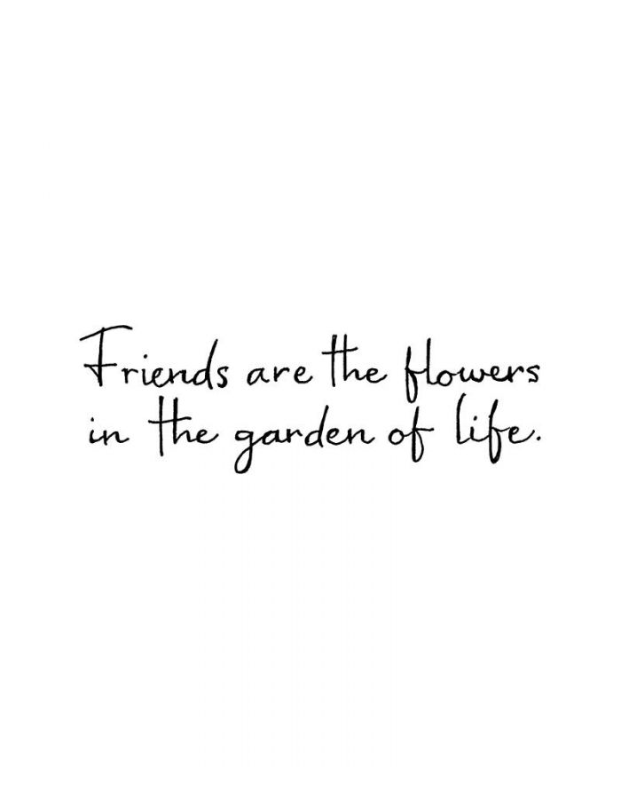 Friends Are The Flowers - D10893