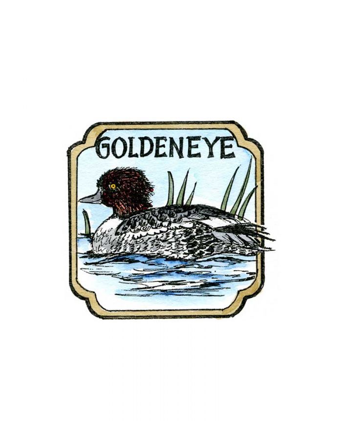 Goldeneye in Curved Frame - CC10210