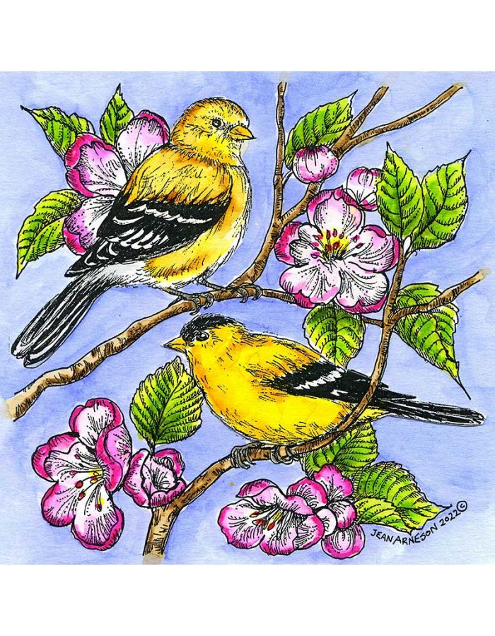 Goldfinch Pair and Blossoms - PP11080