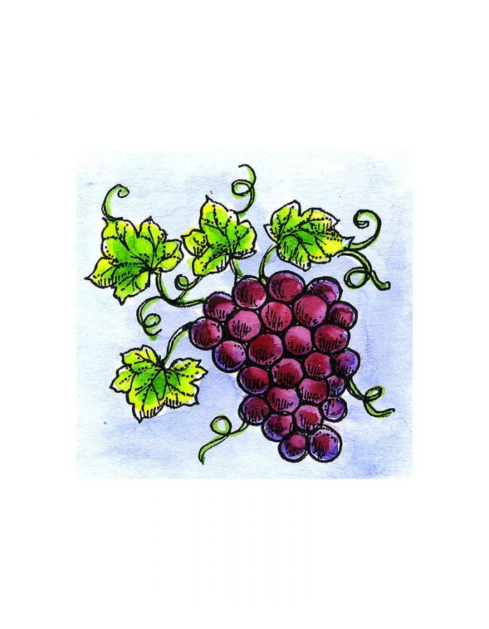 Grapes - C11287