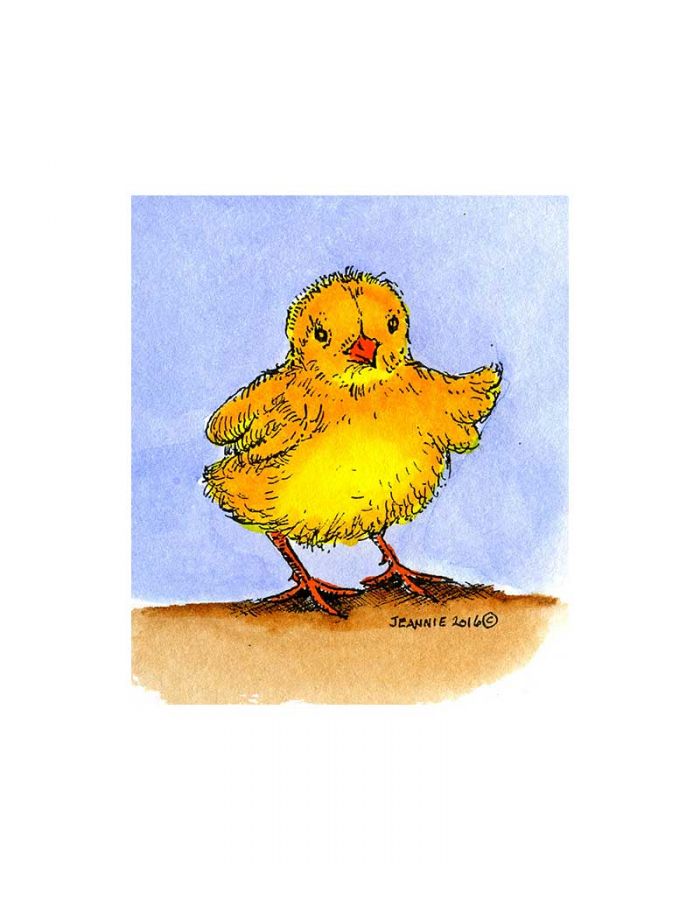 Hatching Chick 4 - C9961