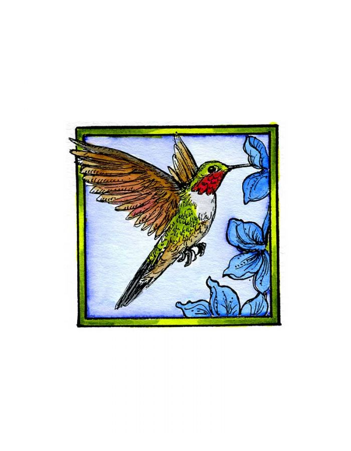 Hummingbird - CC10184