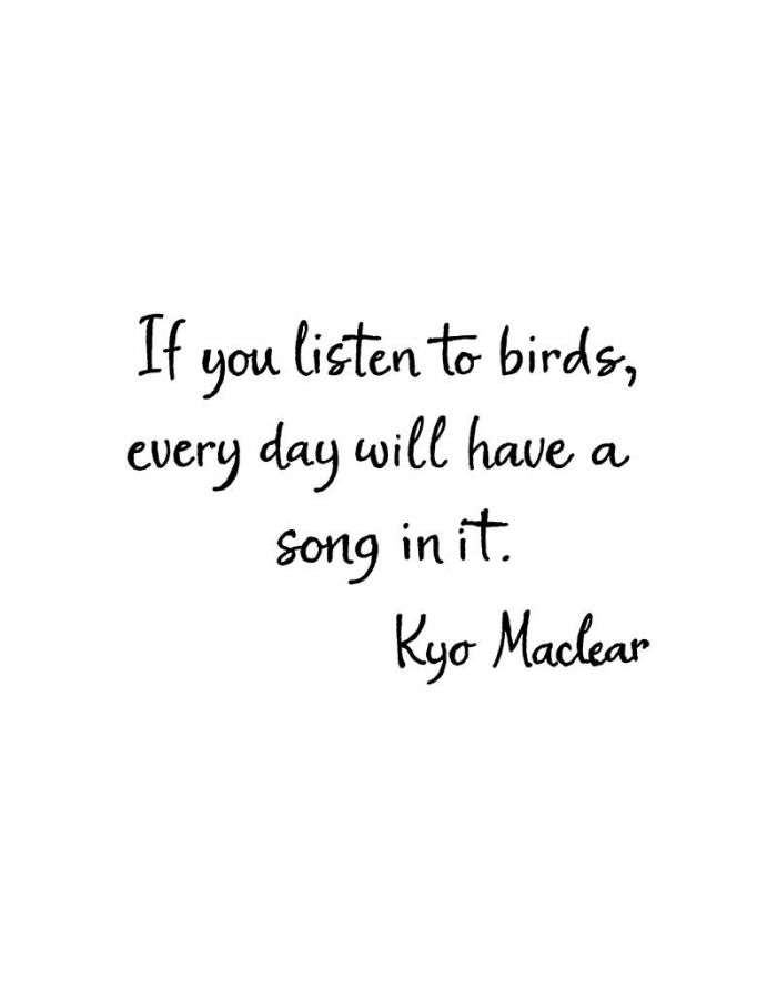 If You Listen To Birds - CC11090