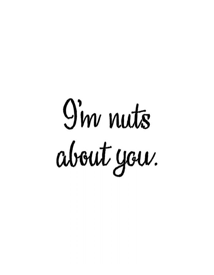 I'm Nuts About You - B10613