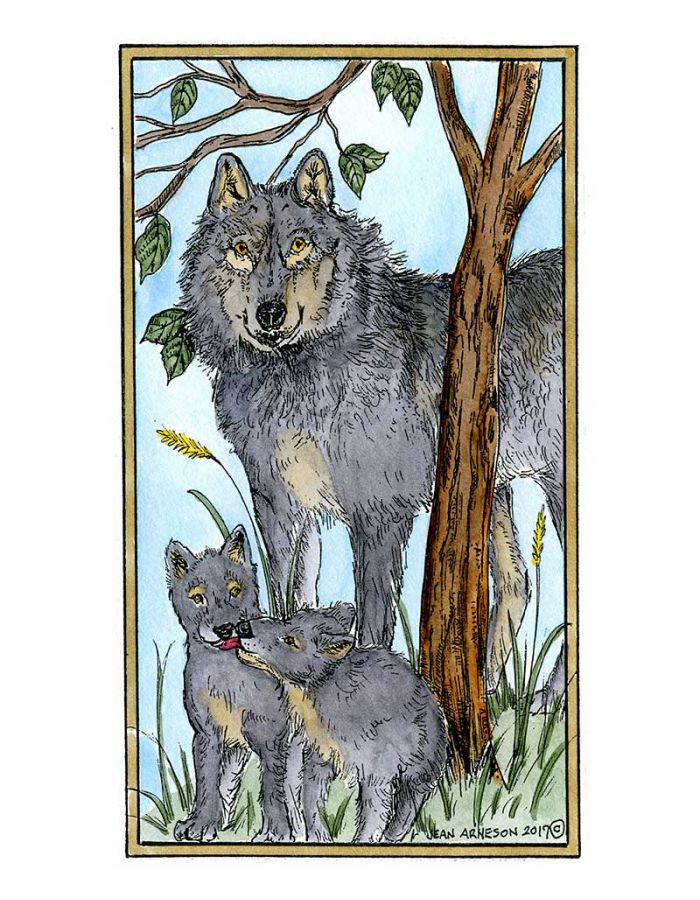 Isabelle's Wolf Family - NN10215