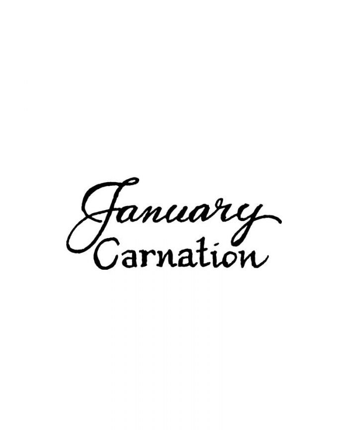 January Carnation - BB11244
