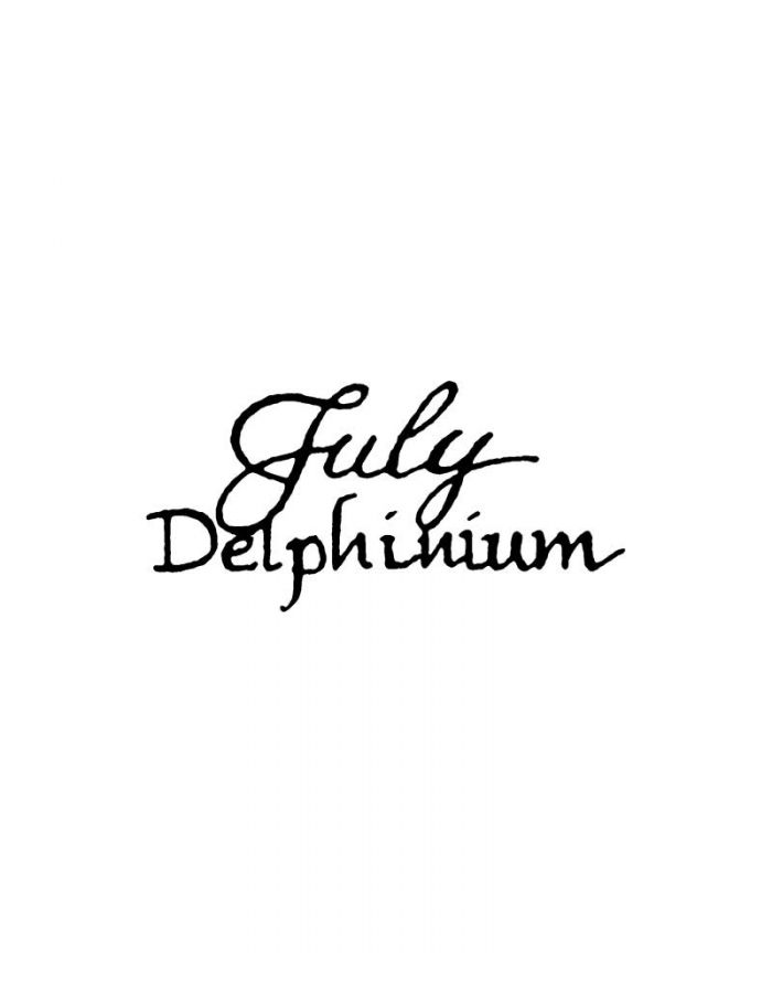 July Delphinium - BB11265