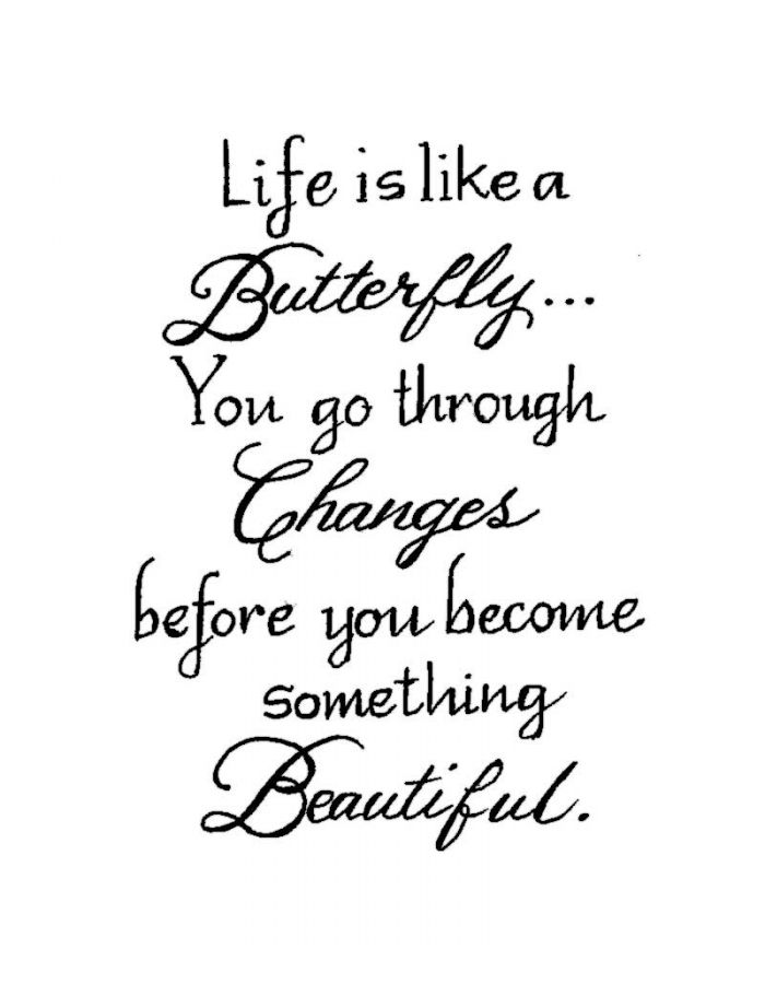 Life is Like a Butterfly - E9943
