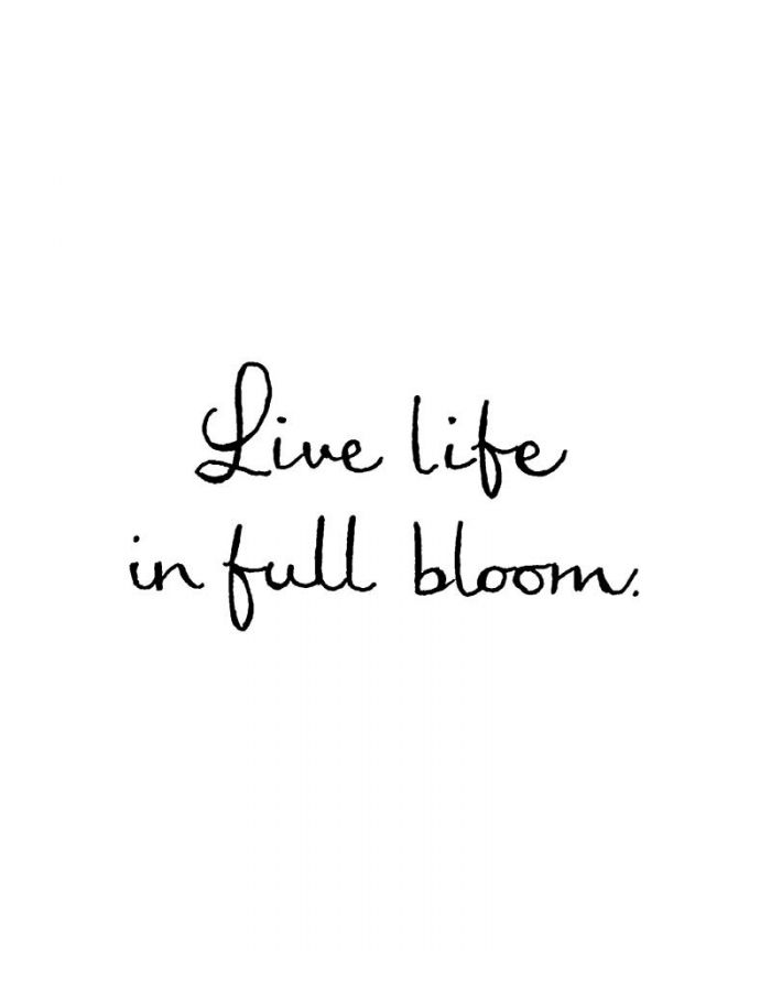 Live Life In Full Bloom - C10902