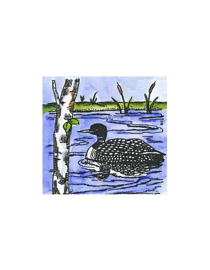 Loon and Birch - C10607