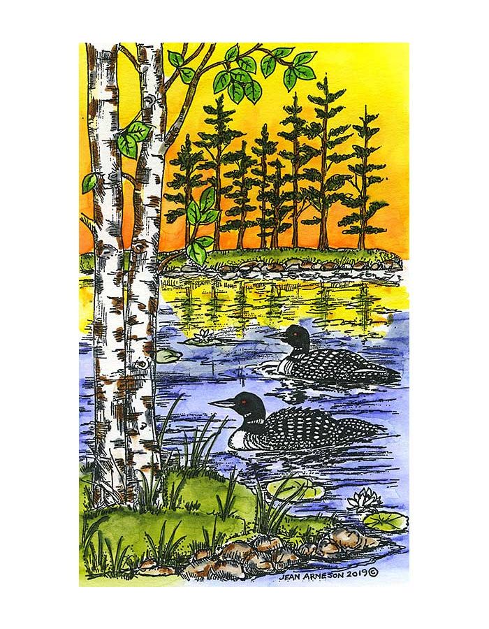 Loon Pair, Birch and Pines on Lake - NN10769