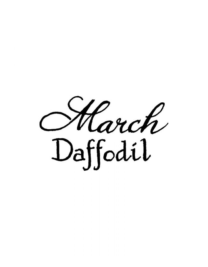 March Daffodil - BB11251