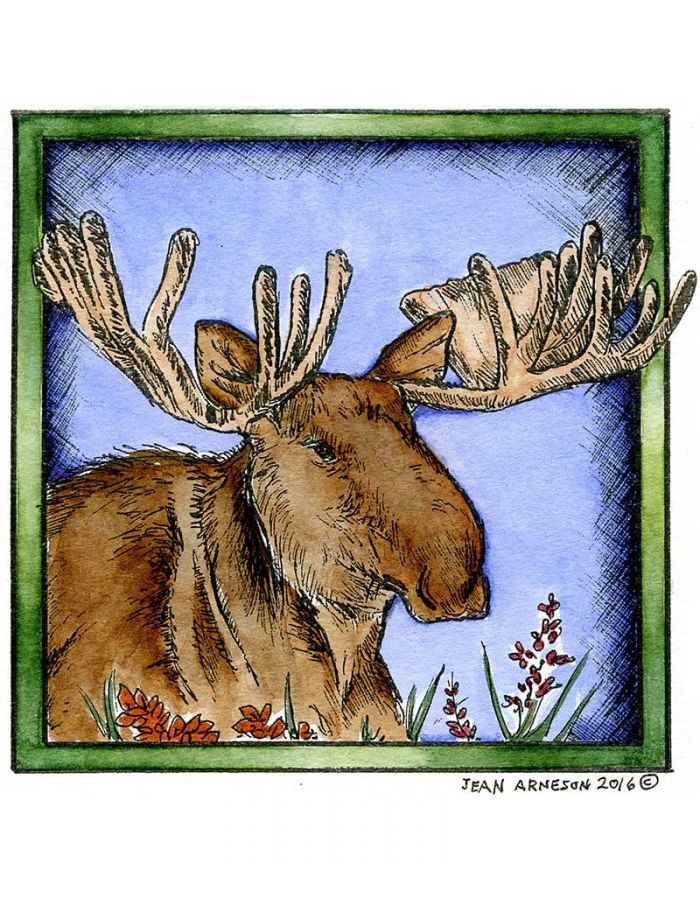 MOOSE IN SQUARE FRAME Wood Mounted Rubber Stamp NORTHWOODS PP9978 New 