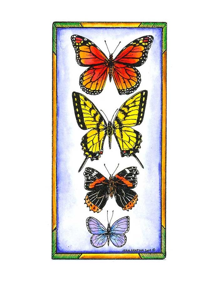 Mounted Butterflies in Frame - O7277