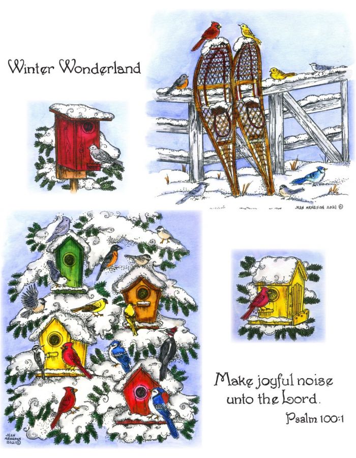 Snowshoes on Fence & Snowy Spruce Birdhouse - NO-155