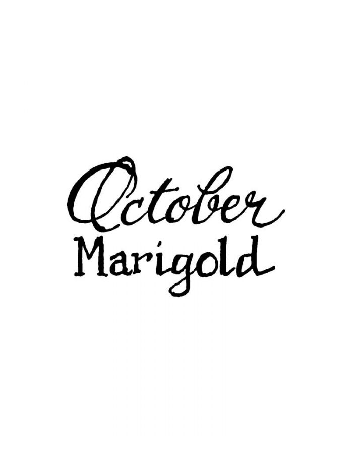 October Marigold - BB11275