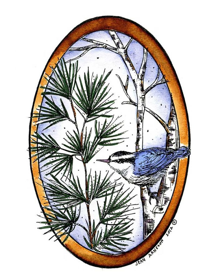 Pine and Birch With Nuthatch Oval - P8873