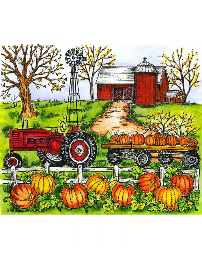 Pumpkin Farm - P10986