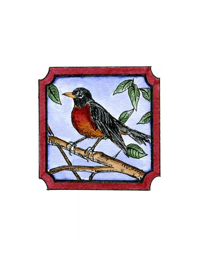 Robin in Notched Square - CC9981