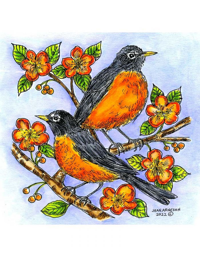 Robin Pair and Blossoms - PP11087