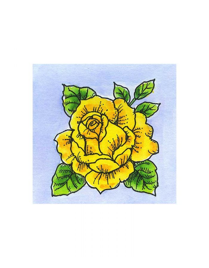 Rose - B11455