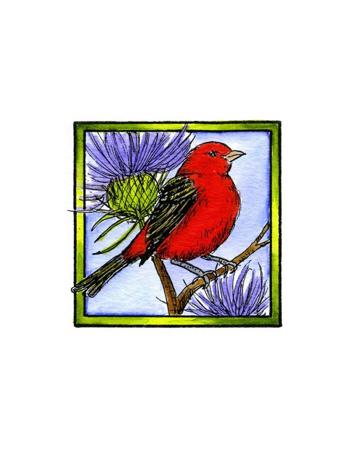 Scarlet Tanager - CC10183