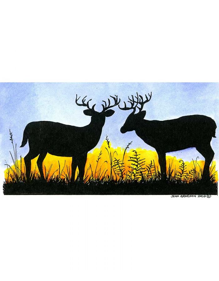 Silhouette Deer Pair in Grass - O9988