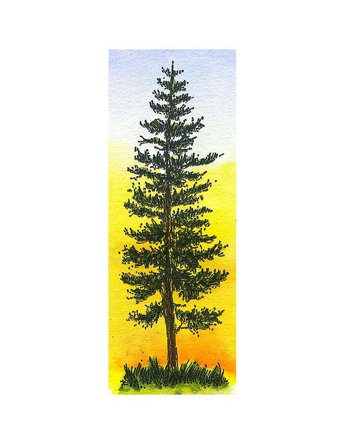 Elk & Pine Tree Rectangle Wood Mounted Rubber Stamp Northwoods Stamp O9520 New 
