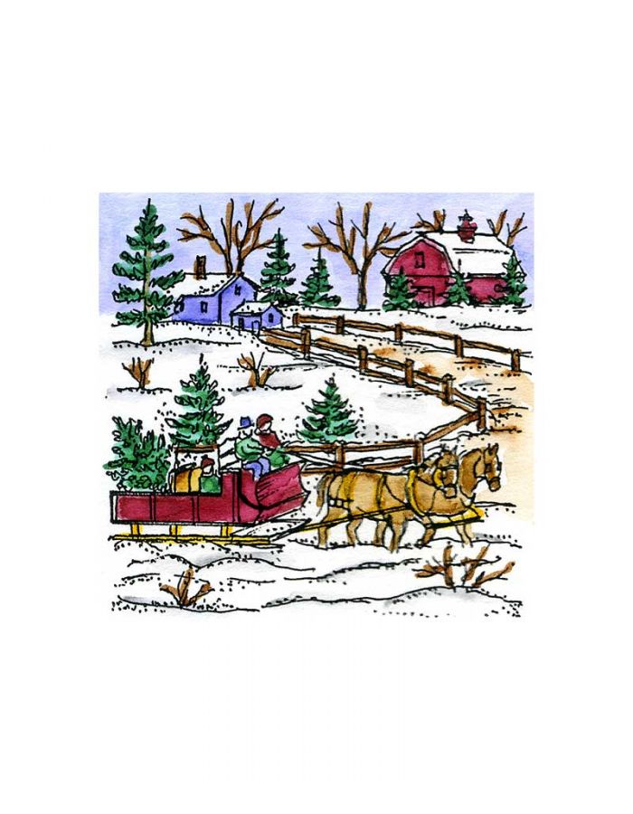 Small Bring Home The Tree Sleigh - CC10877