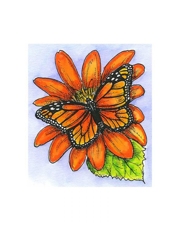 Small Mexican Sunflower and Monarch - CC11117