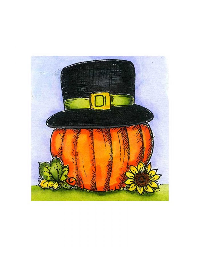 Small Pilgrim Pumpkin - CC11175