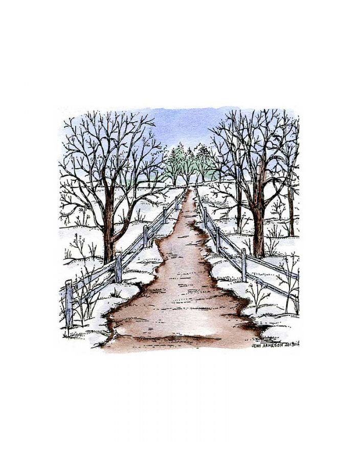 Small Road With Bare Branched Trees - CC9352