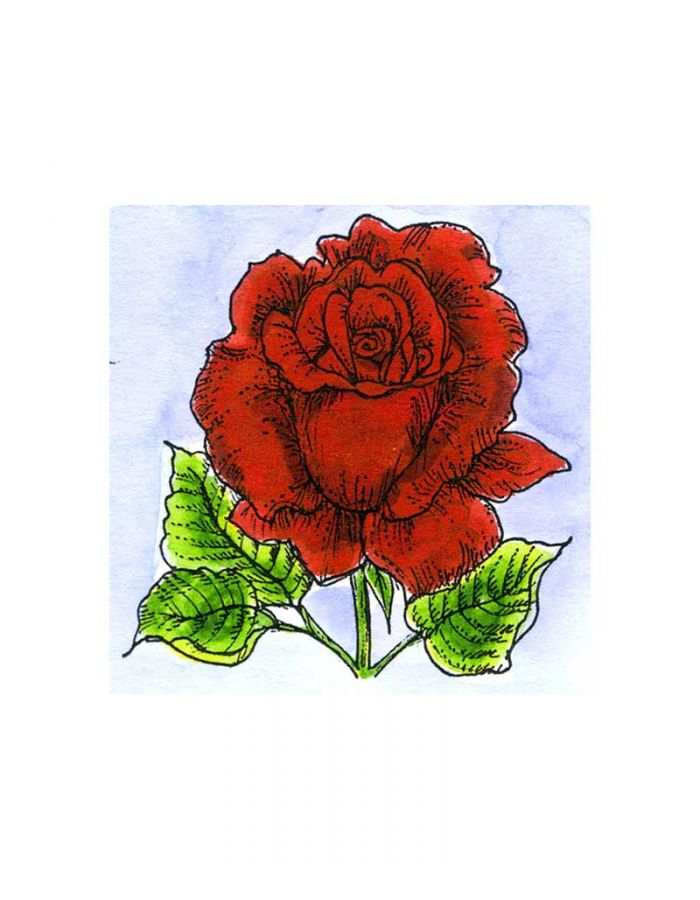 Small Rose - C11263