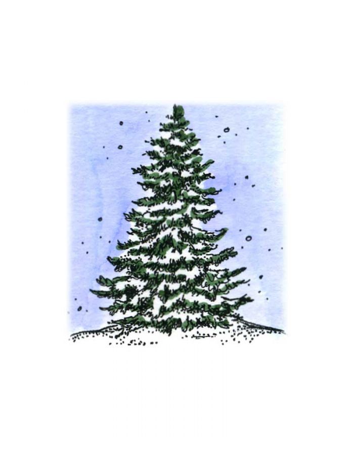 Small Snowy Spruce - C10558